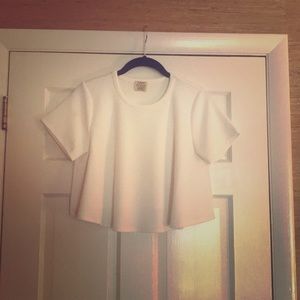 Torn by Ronny Kobo Crop Top